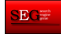 search engine optimization