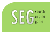 search engine optimization
