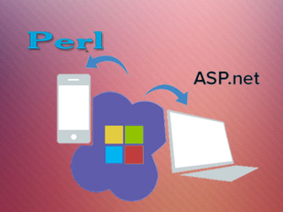 Migrating .Net to Perl