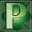 Terms With Letter P
