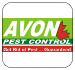 avonpestcontrol.com