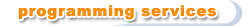 programming services