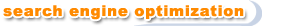 search enige optimization