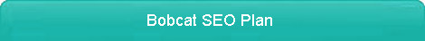 Bobcat SEO Plan