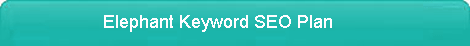 Elephant Keyword SEO Plan