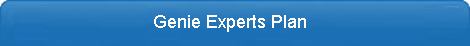 Search Engine Genie Experts Plan