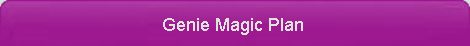 Search Engine Genie Magic Plan