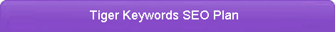 Tiger Keywords SEO Plan