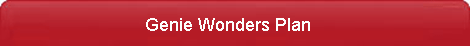 Search Engine Genie Wonders Plan