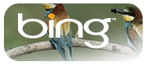Bing Shopping Feeds