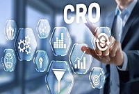 cro seo