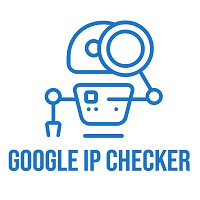 google ip checker