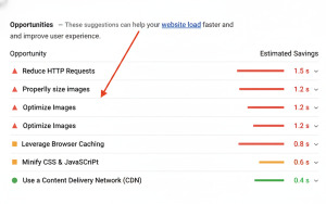 Fix Render-Blocking Issues