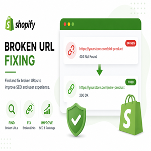 Shopify Broken Url Fixing