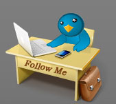 Twitter Buttons by searchenginegenie.com