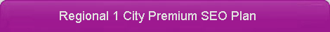 Regional 1 city premium SEO plan