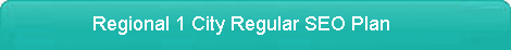 Regional 1 city Regular SEO plan
