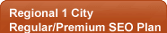 Regional 1 city Regular/Premium SEO plan