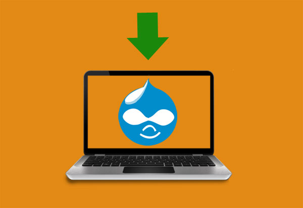 Drupal migration service
