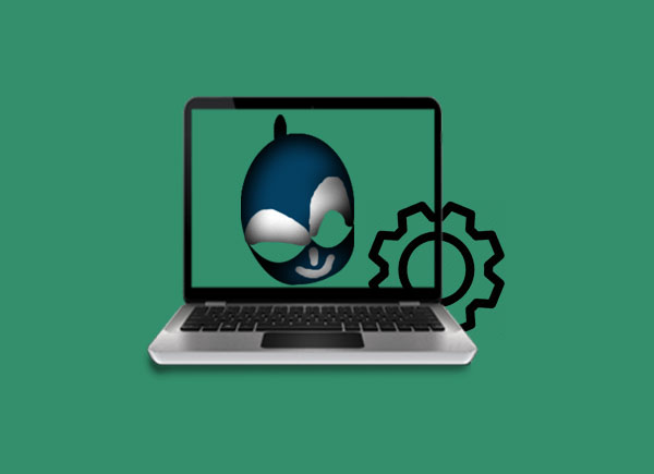 Custom Drupal Development